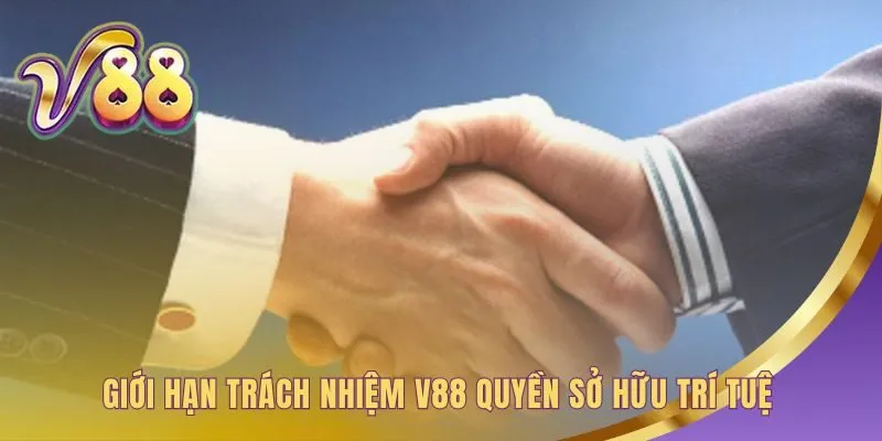 Trách nhiệm và quyền sở hữu trí tuệ được bảo hộ tuyệt đối